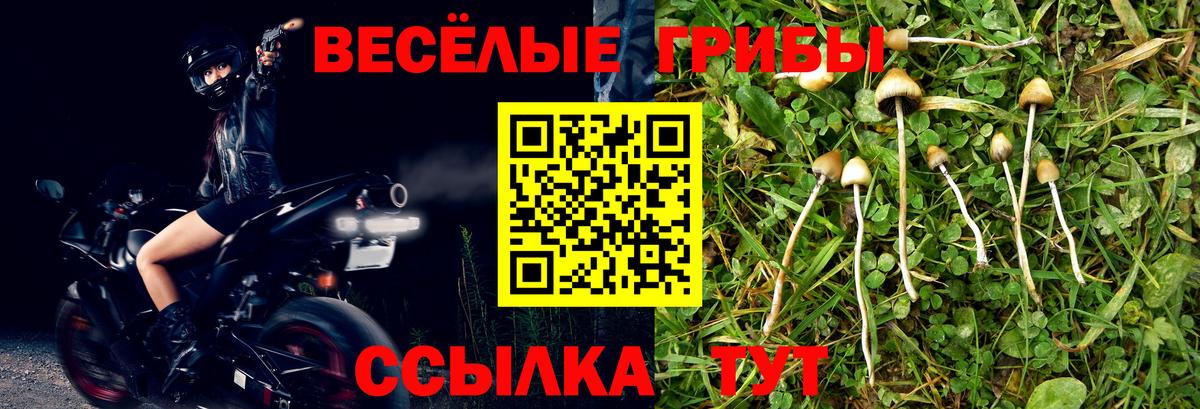 Псилоцибиновые грибы Cubensis  Вход с VPN  Рославль  Галлюциногенные грибы мухоморы 
